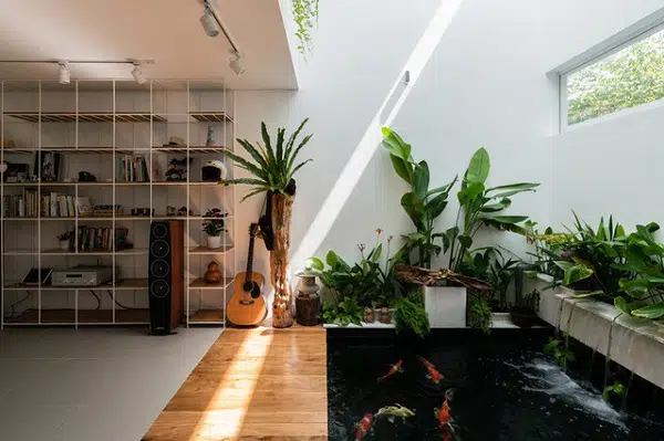 Tiểu Cảnh Ban Công 21- Liên Hệ: 0973.928.564
