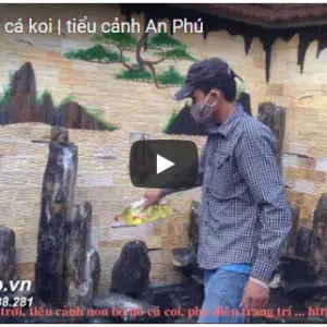 Tiểu cảnh hồ cá koi nhà anh Bền- Bắc Ninh