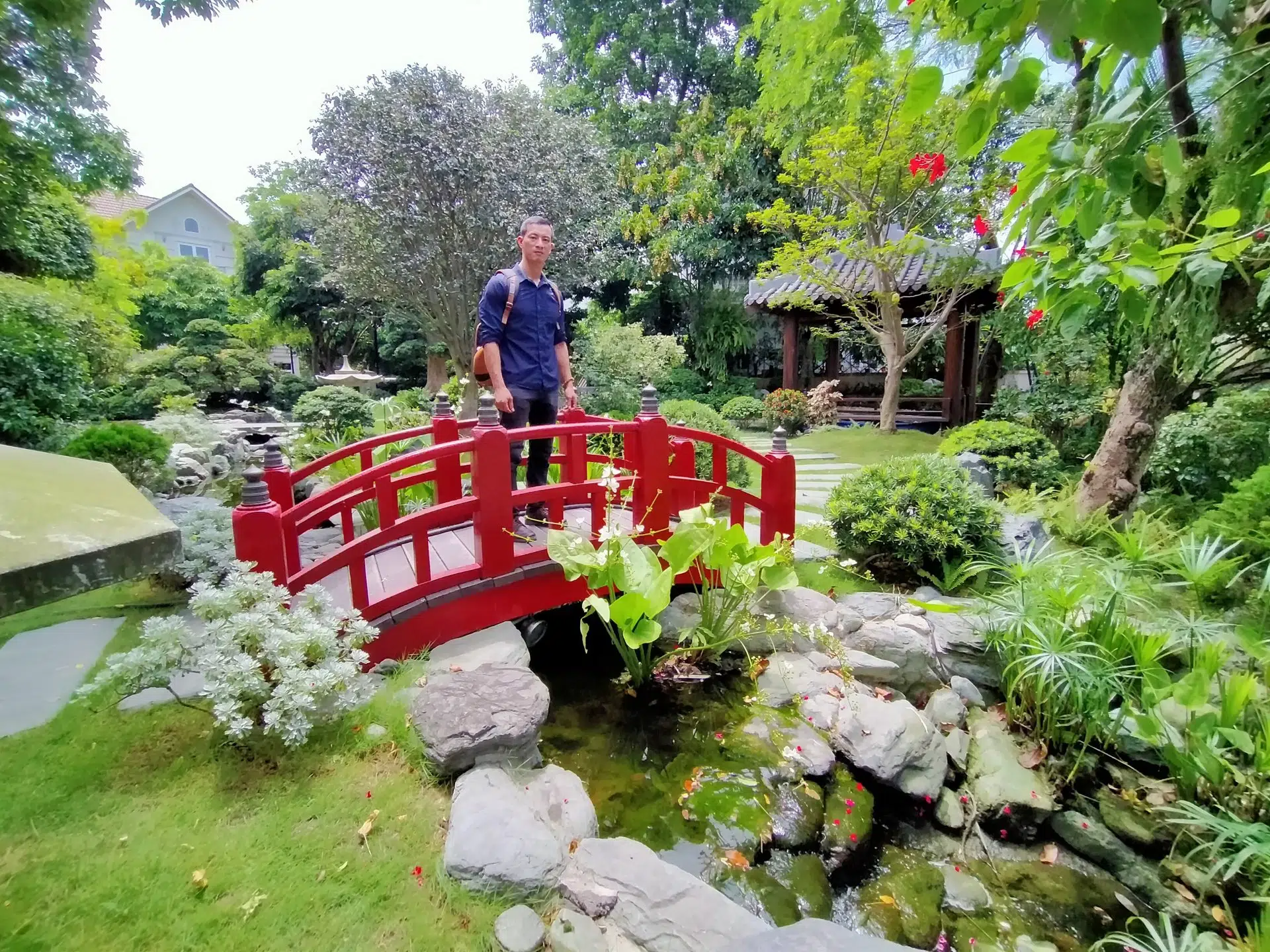 Những Lưu Ý Khi Thiết Kế Hồ Cá Koi