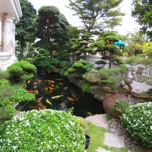 Cách Làm Đẹp Cho Không Gian Gia Đình Bằng Tiểu Cảnh Sân Vườn