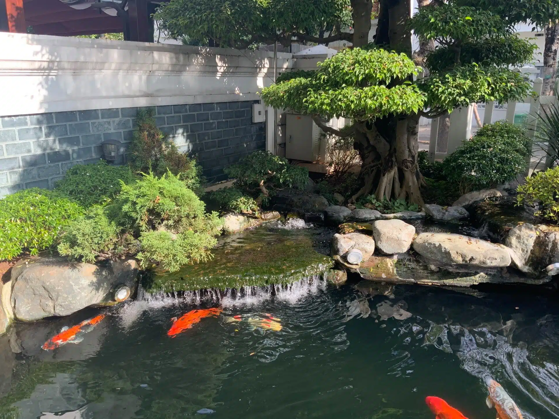 Sân Vườn Nhiệt Đới Mùa Hè
