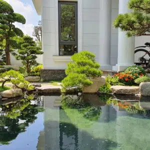 Hồ Cá koi 02-Liên Hệ: 0973.928.564