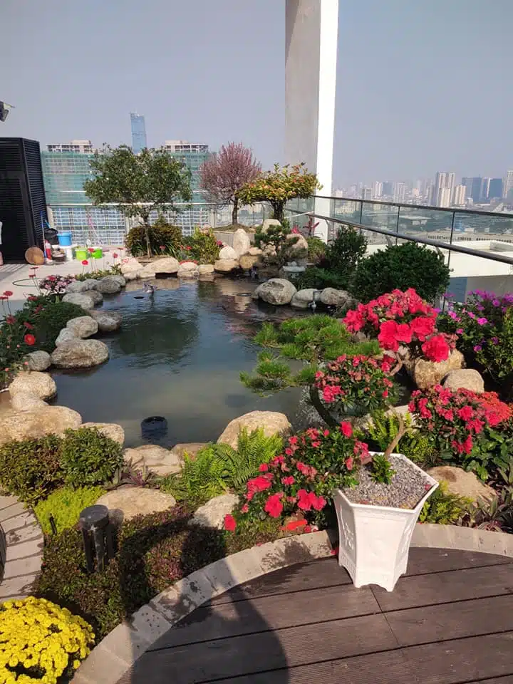 Mẫu Hồ Cá Koi Kết Hợp Với Tiểu Cảnh Sân Vườn Đẹp