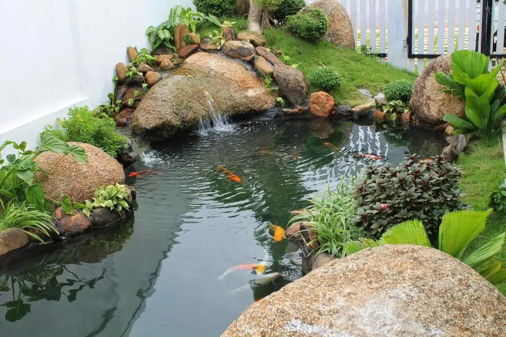 Hồ Cá Koi 07-Liên Hệ: 0973.928.564