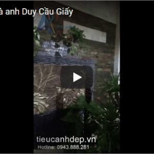 Tiểu cảnh nhà anh Duy- Cầu Giấy