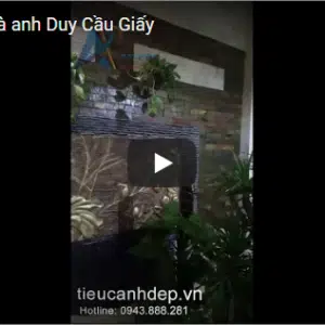 Tiểu cảnh nhà anh Duy- Cầu Giấy