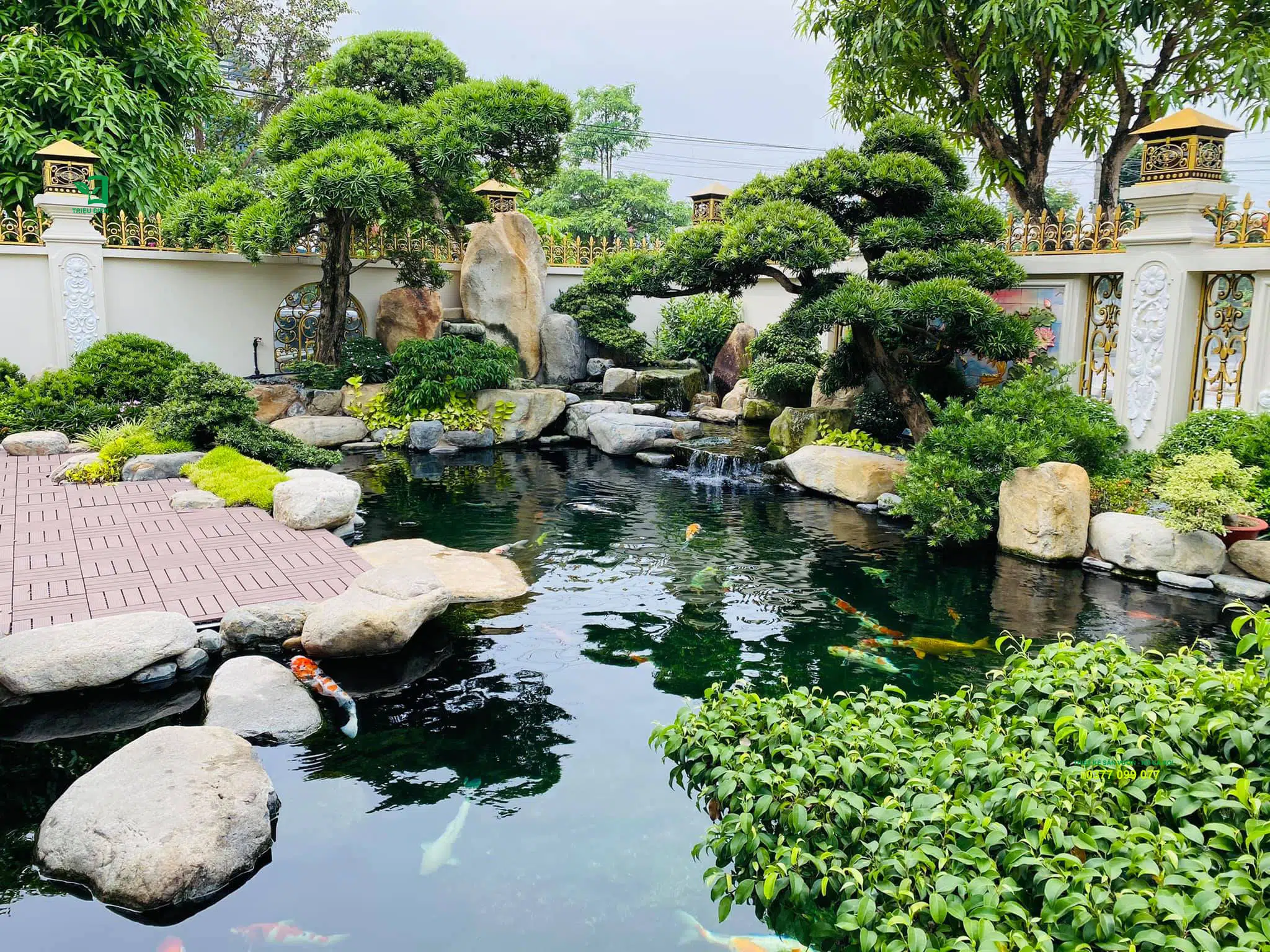 Thi Công Hồ Cá Koi Đẹp