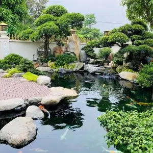 Hồ Cá Koi Tại Hà Nội 42 - Liên Hệ: 0973.928.564