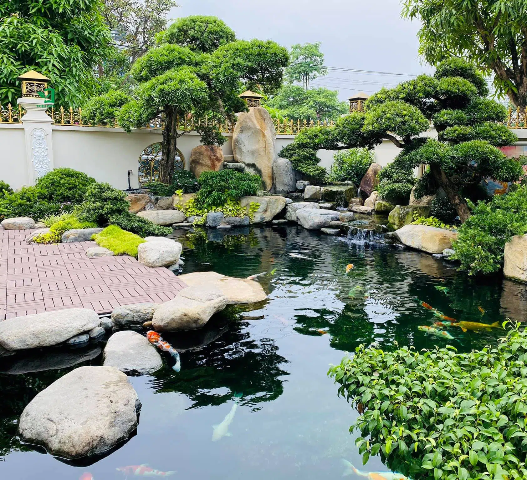 Những Điều Gia Chủ Cần Lưu Ý Khi Thiết Kế Hồ Cá Koi Mini