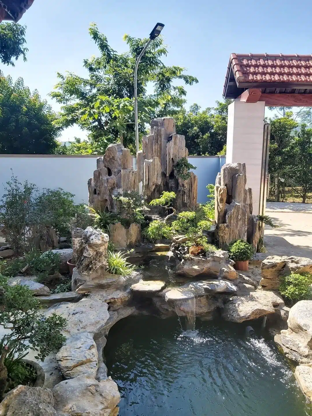 Chia Sẻ Kinh Nghiệm Làm Hồ Cá Koi Đạt Tiêu Chuẩn