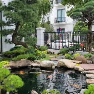 Hồ Cá Koi 41-Liên Hệ: 0973.928.564
