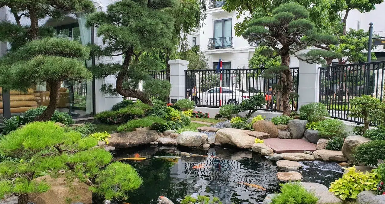Thi Công Hồ Cá Koi Đẹp