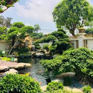 Hồ Cá Koi 03-Liên Hệ: 0973.928.564