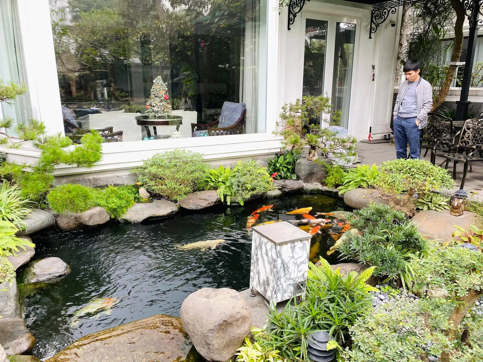 Chăm Sóc Cá Koi Mùa Lạnh – Chuyện Không Phải Ai Cũng Biết