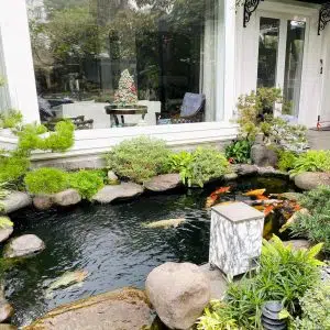 10 ý tưởng cho thiết kế tiểu cảnh sân vườn mini
