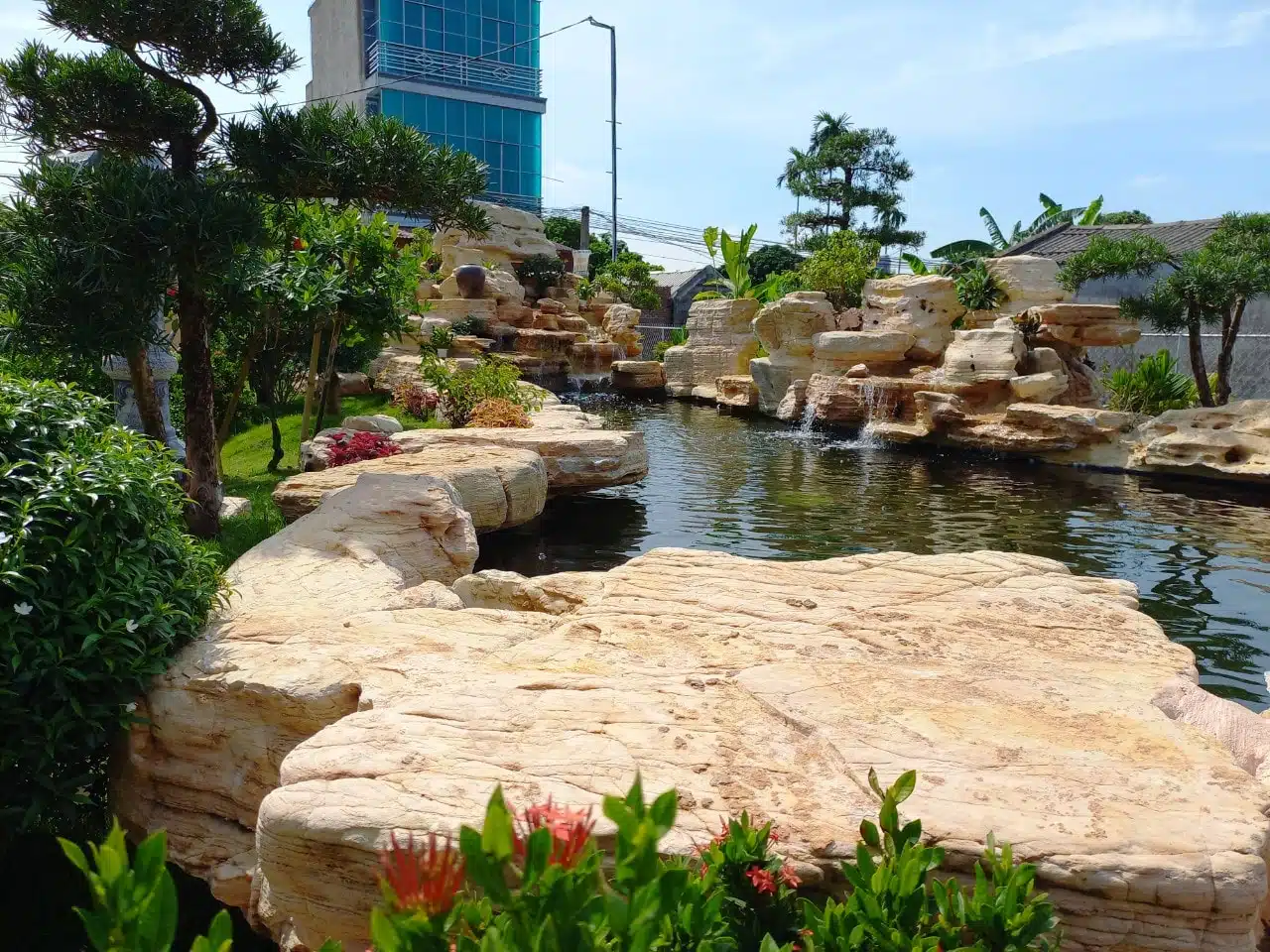 Chia Sẻ Kinh Nghiệm Làm Hồ Cá Koi Đạt Tiêu Chuẩn