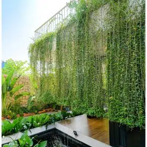 Tiểu Cảnh Ban Công 20 - Liên Hệ: 0973.928.564