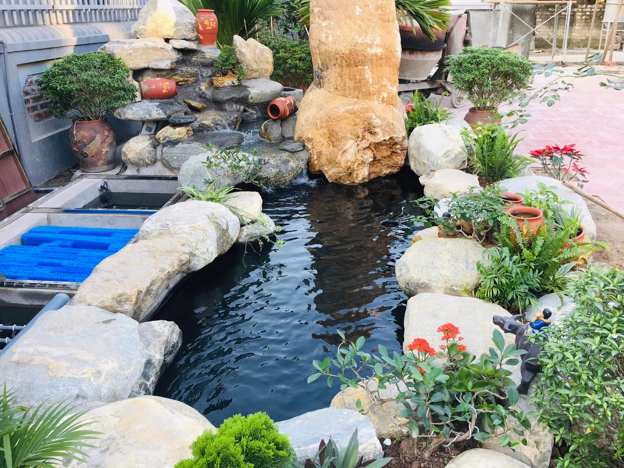 Tiểu Cảnh Sân Thượng 21 – Liên Hệ: 0973.928.564