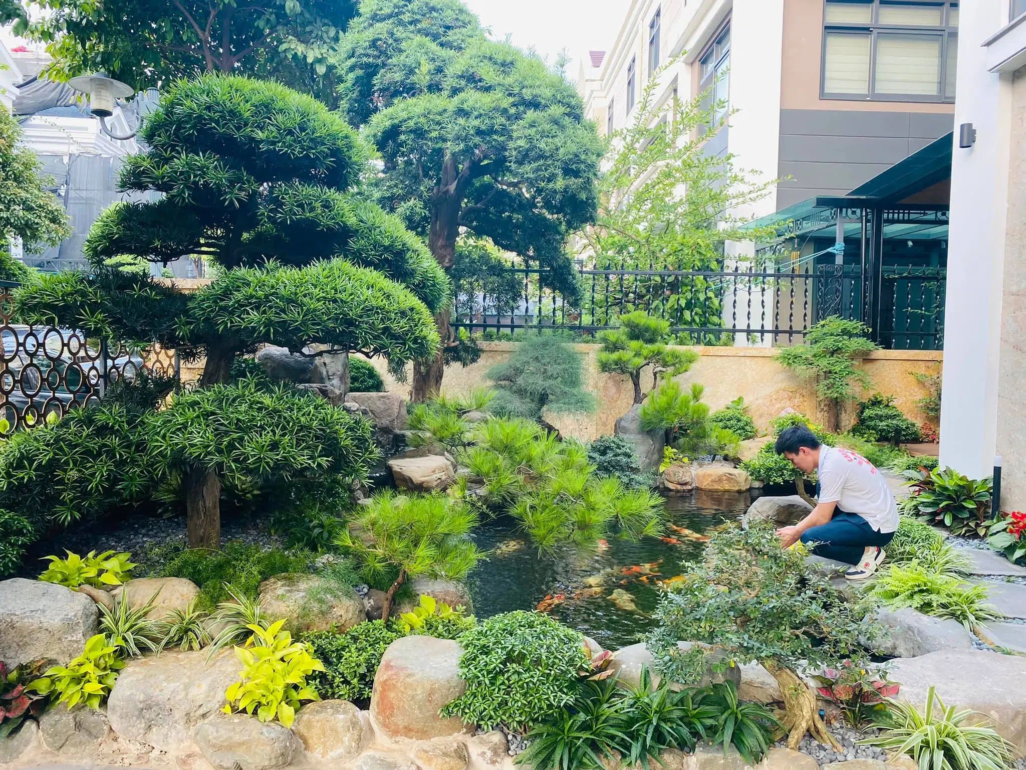 Những Lưu Ý Khi Thiết Kế Hồ Cá Koi