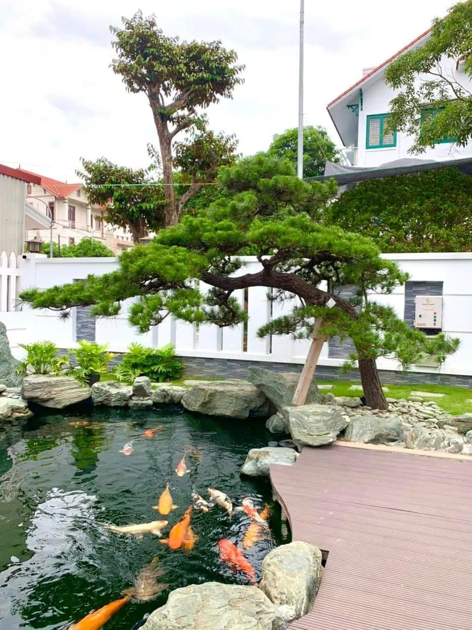 Những Lưu Ý Khi Thiết Kế Hồ Cá Koi