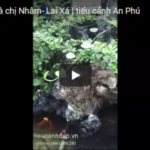 Tiểu cảnh nhà chị Nhâm- Lai Xá, Hoài Đức