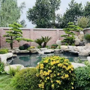Cách Thiết Kế Hồ Cá Koi 1 Khối, 2 Khối, 3 Khối, 5 Khối Đơn Giản