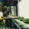 Thi Công Hồ Cá Koi Chuyên Nghiệp Chất Lượng Cao