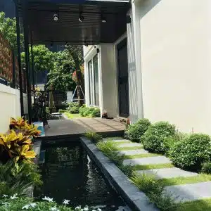 Thi Công Hồ Cá Koi Chuyên Nghiệp Chất Lượng Cao