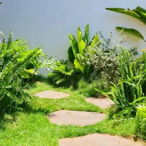 Tiểu Cảnh Sân Vườn Nhà Anh Hưng Ở Long Biên