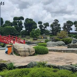 Hồ Cá Koi 16- Liên Hệ: 0973.928.564