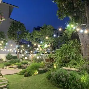 Bí Kiếp Giúp Tăng Tài Lộc, Sinh Lý Cho Hồ Cá