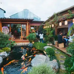 Hồ Cá Koi Nhật Bản Truyền Thống