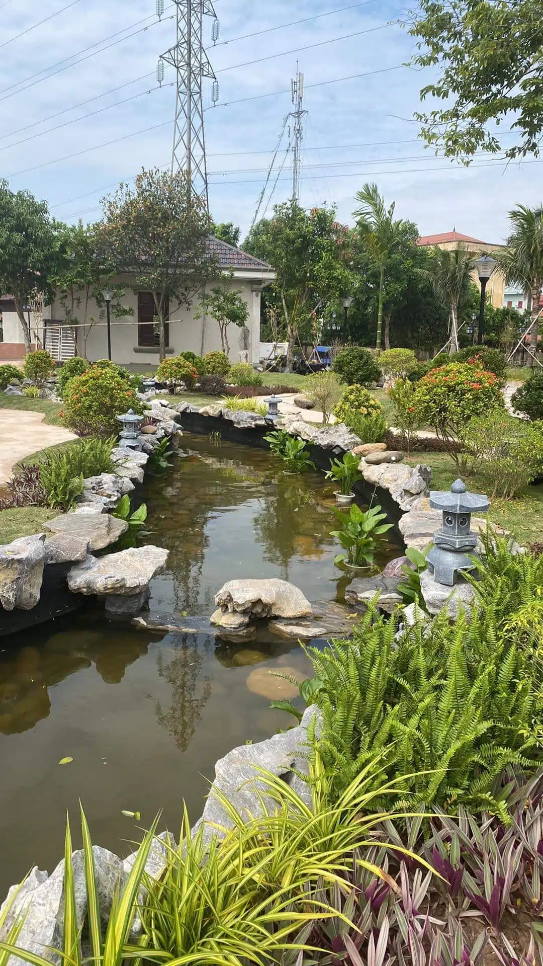 Chia Sẻ Kinh Nghiệm Làm Hồ Cá Koi Đạt Tiêu Chuẩn