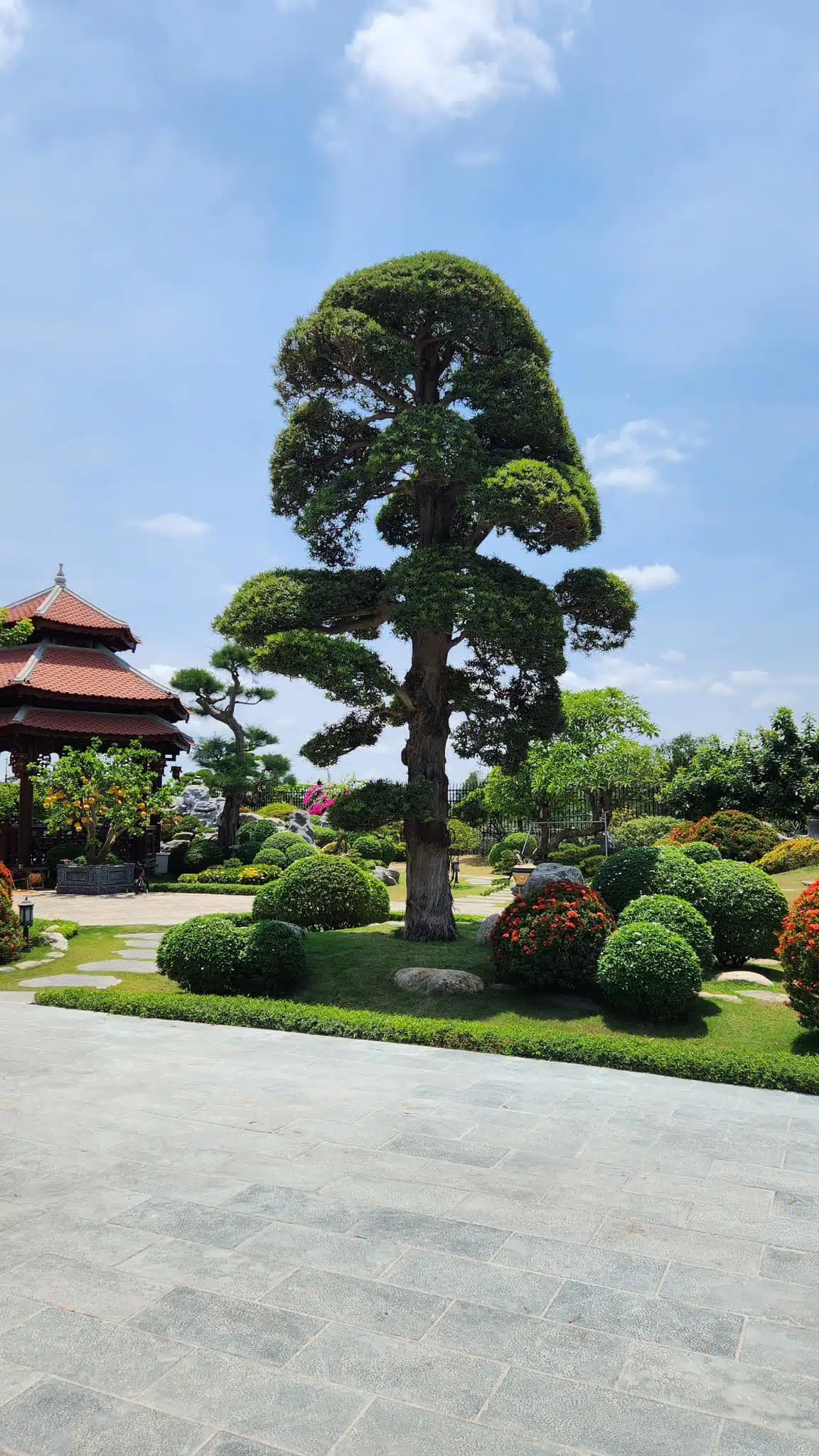 Dự Án Sân Vườn Hồ Koi – Nam Định