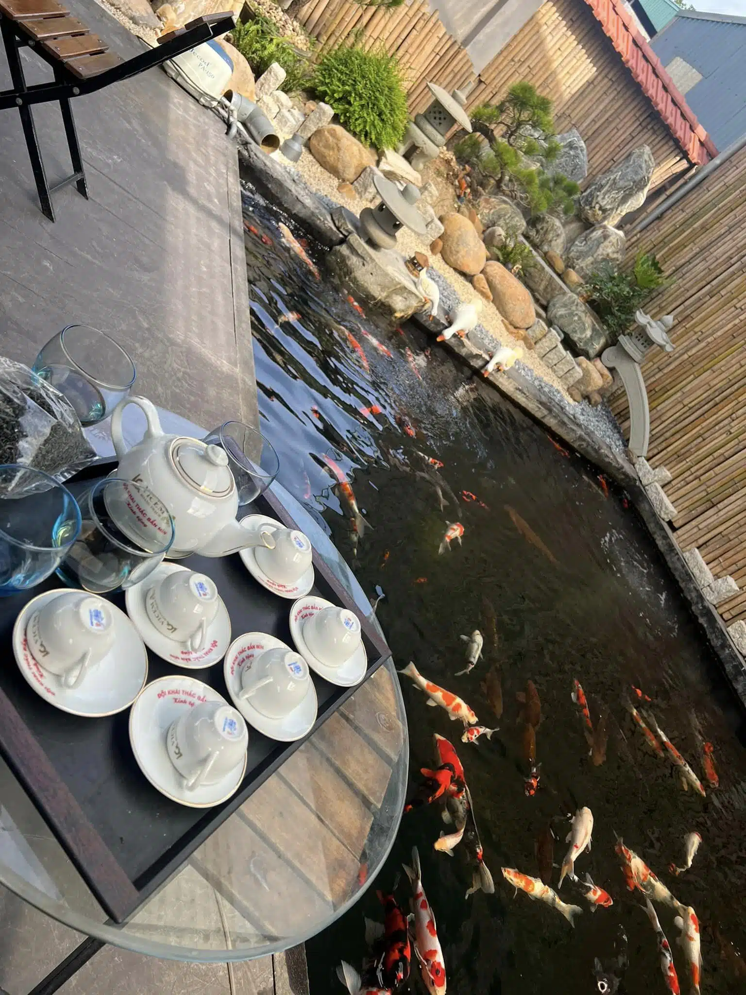 Chế Độ Ăn Cho Cá Koi Vào Mùa Hè