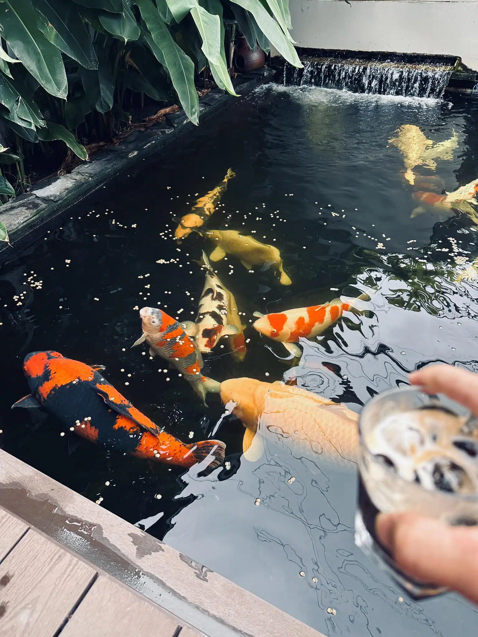 Dự Án Sân Vườn Hồ Koi – Hải Phòng