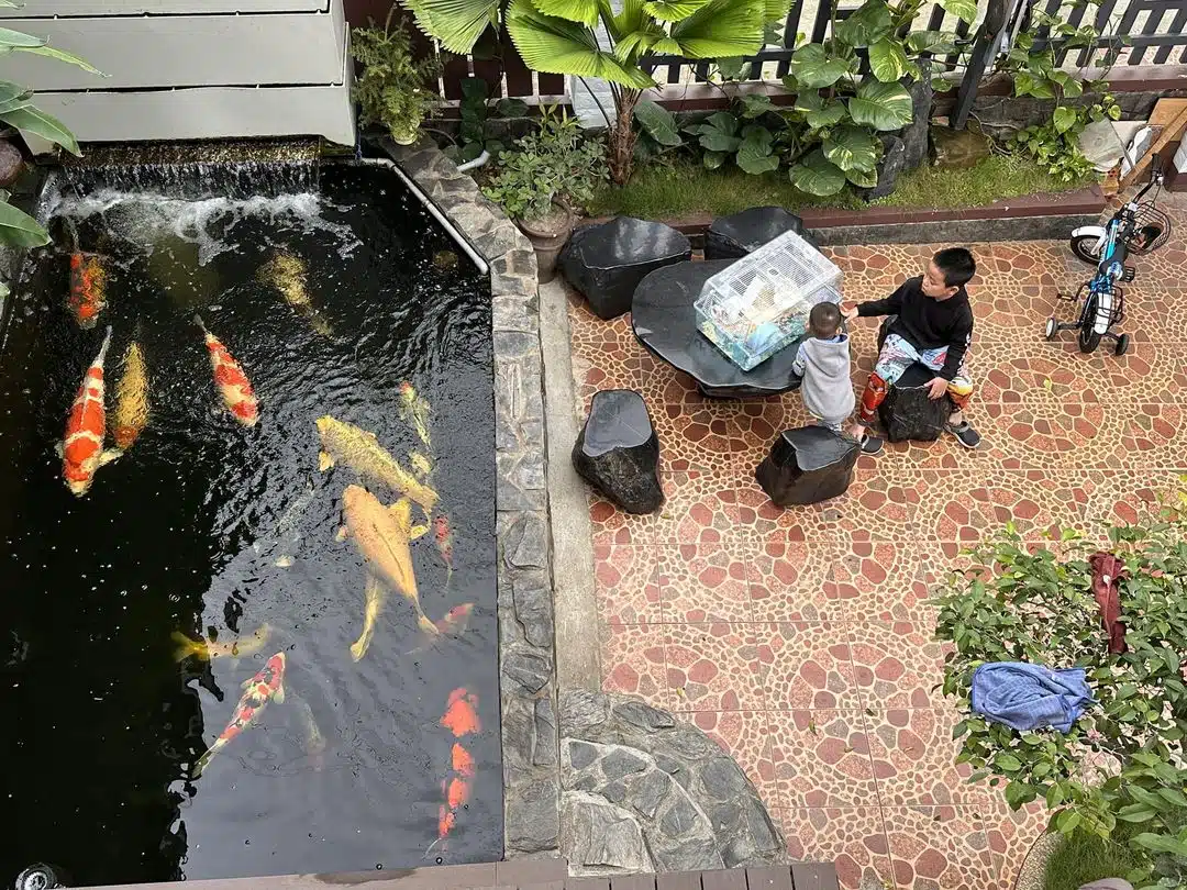 Dự Án Sân Vườn Hồ Koi – Hải Phòng