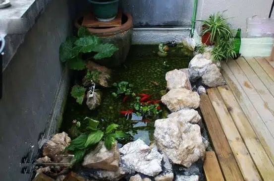 Tiểu Cảnh Sân Thượng Đẹp 22- Liên Hệ: 0973.928.564