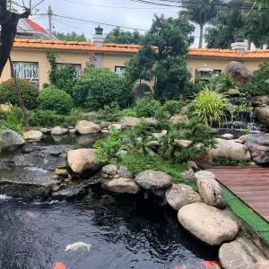 Hồ Cá Koi 32