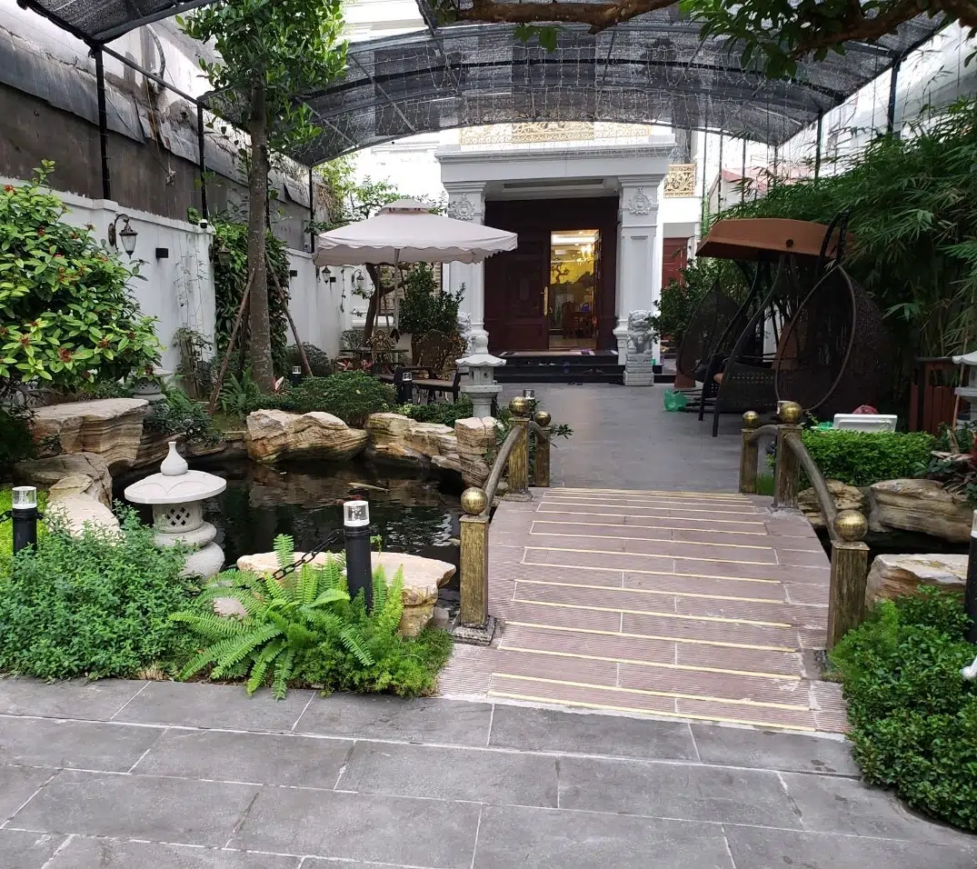 Những Lưu Ý Khi Thiết Kế Hồ Cá Koi