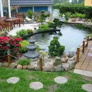 Những Lưu Ý Khi Thiết Kế Hồ Cá Koi