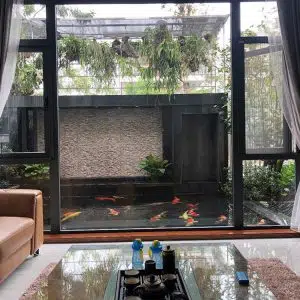 Tiểu Cảnh Ban Công 15-Liên Hệ: 0973.928.564