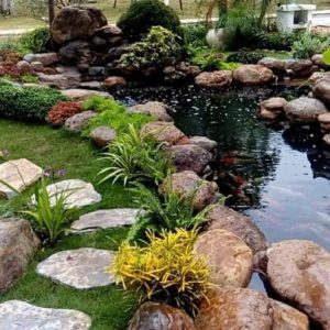 Hồ cá koi tại Hà Nội