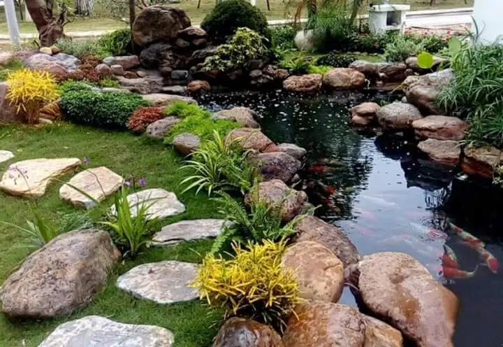 Hồ cá koi tại Hà Nội