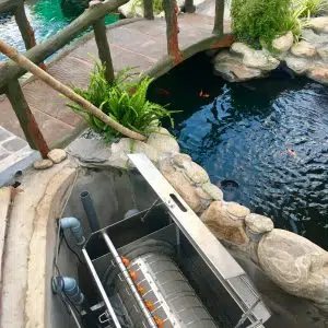 Hệ Thống Phụ Kiện Lọc Nước Cho Hồ Cá Koi Chuẩn Nhất Hệ Thống Lọc Nước Hồ Cá Koi
