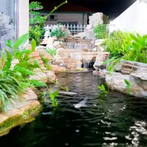 Những Thiết Kế Hồ Cá Koi Mini Đẹp Nhất