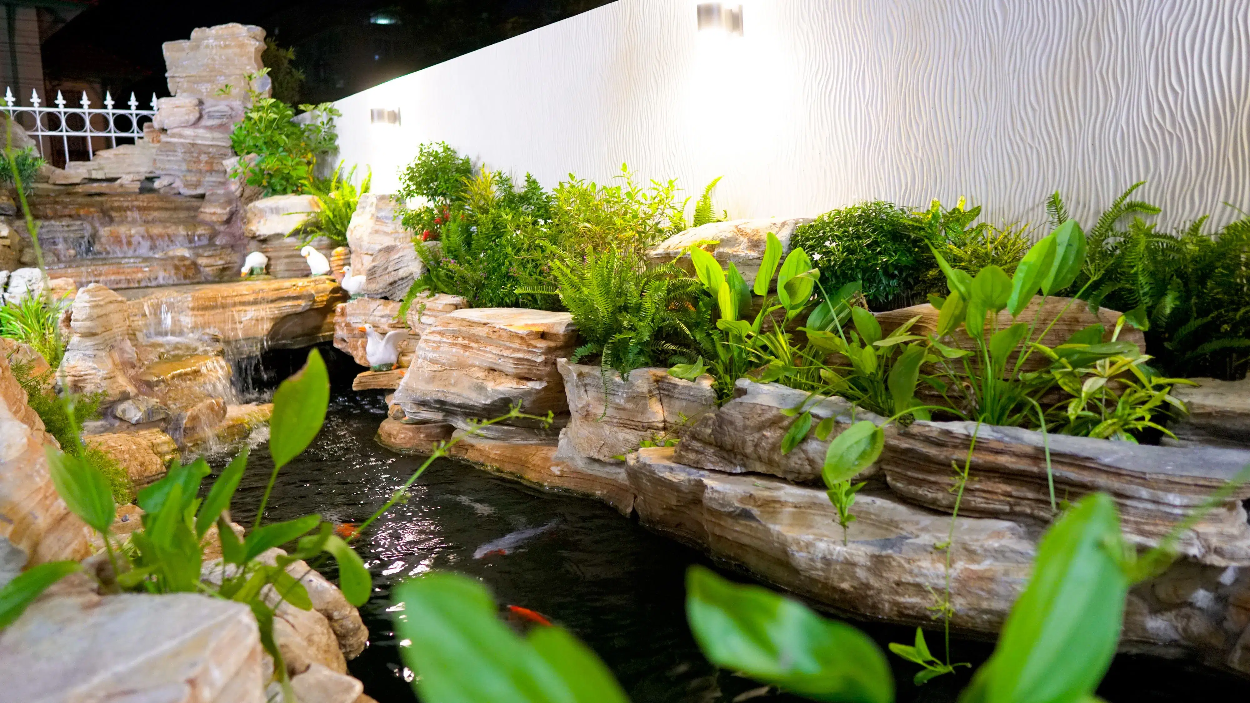 Thiết Kế Hồ Cá Koi Ngoài Trời Đẹp