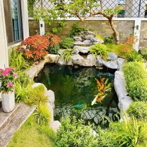 Thiết Kế Thi Công Hồ Cá Koi Tại Hà Nội