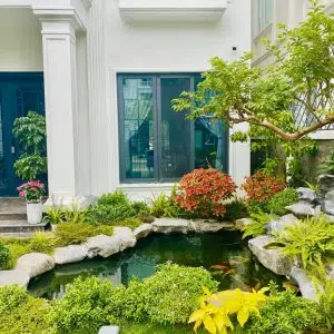 Tất Tần Tật Kinh Nghiệm Nuôi Cá Chép Koi Và Kỹ Thuật Nuôi Cá Koi Chuẩn
