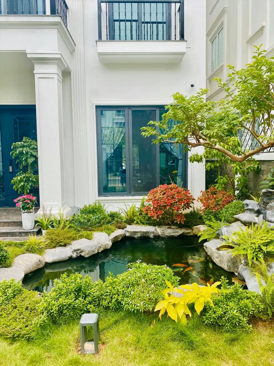 Thiết Kế Thi Công Hồ Cá Koi Tại Hà Nội